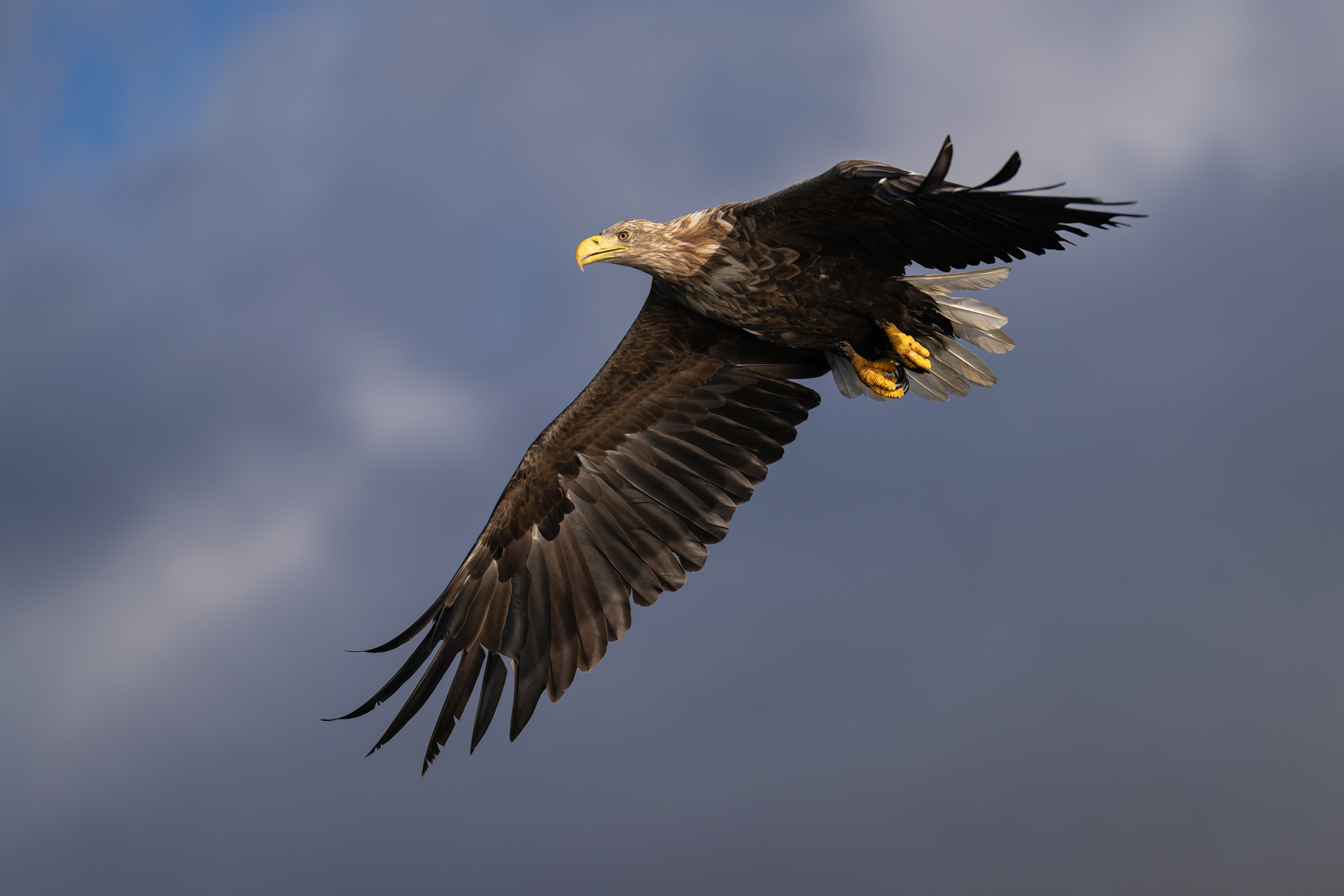 Lofoten 20250930- 7R